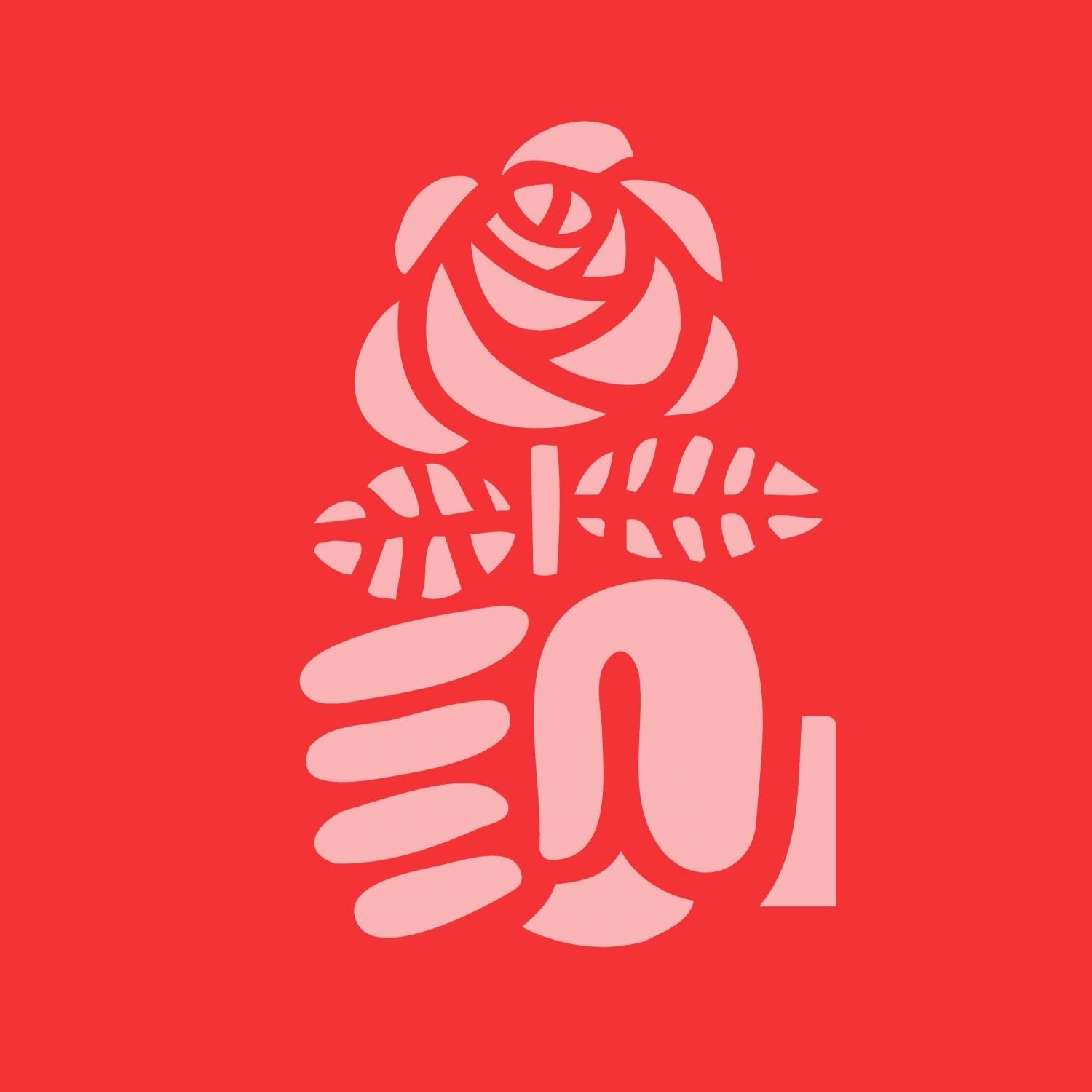 Motion du parti socialiste « Eteindre la lumière pour éclairer notre avenir »
